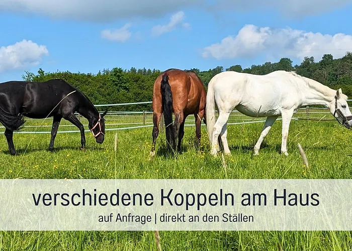Venkovský dům Gut Weihersmuehle Leutershausen (Bavaria)