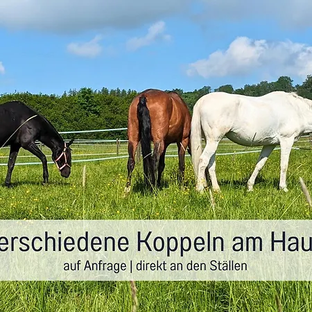 Hétvégi ház Gut Weihersmuehle Leutershausen