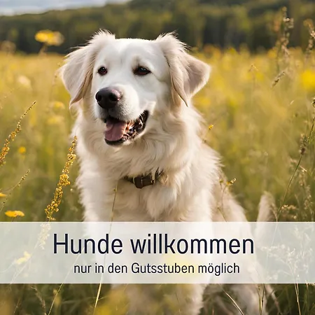 Gut Weihersmuehle * Leutershausen (Bavaria)